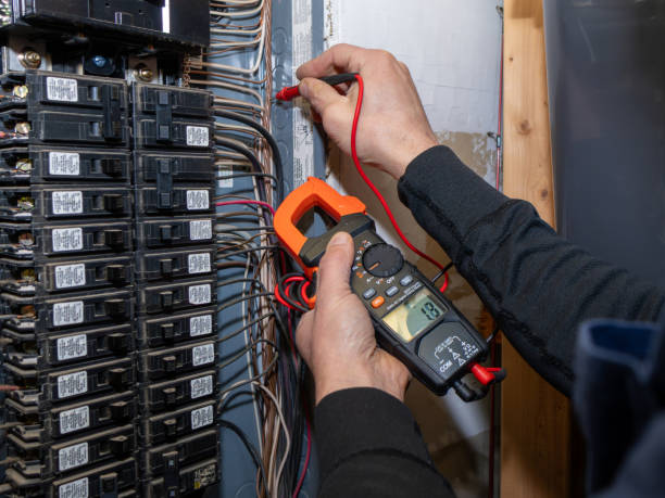 Best Electrical System Inspection  in Leesburg, GA